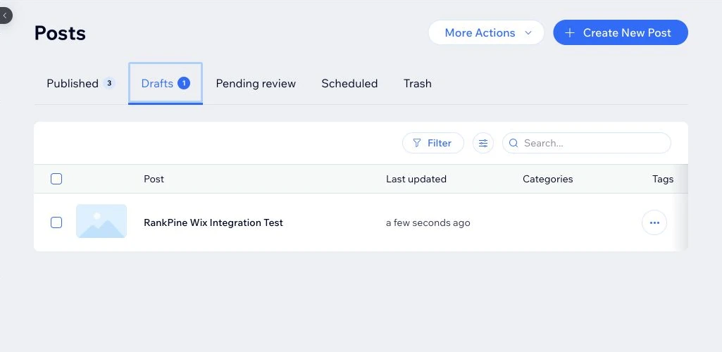 A private RankPine test draft created through the Wix API